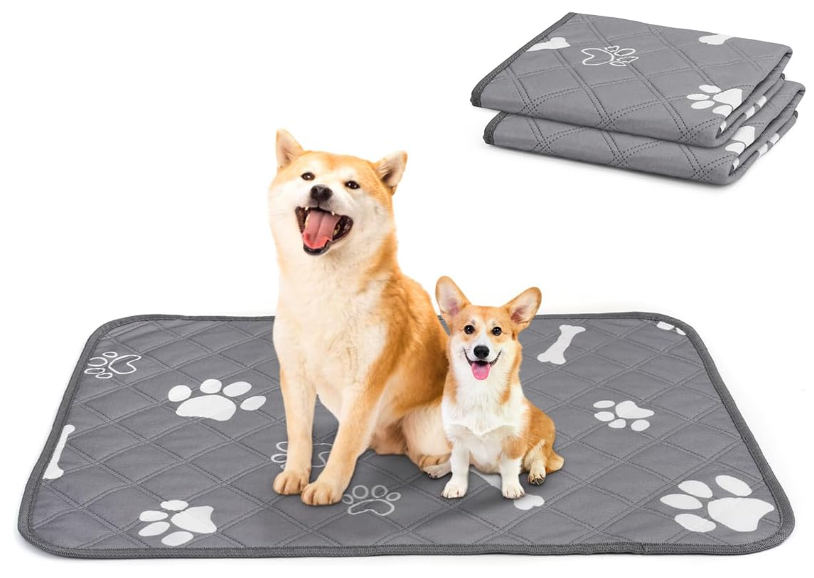 フレブル お迎え準備